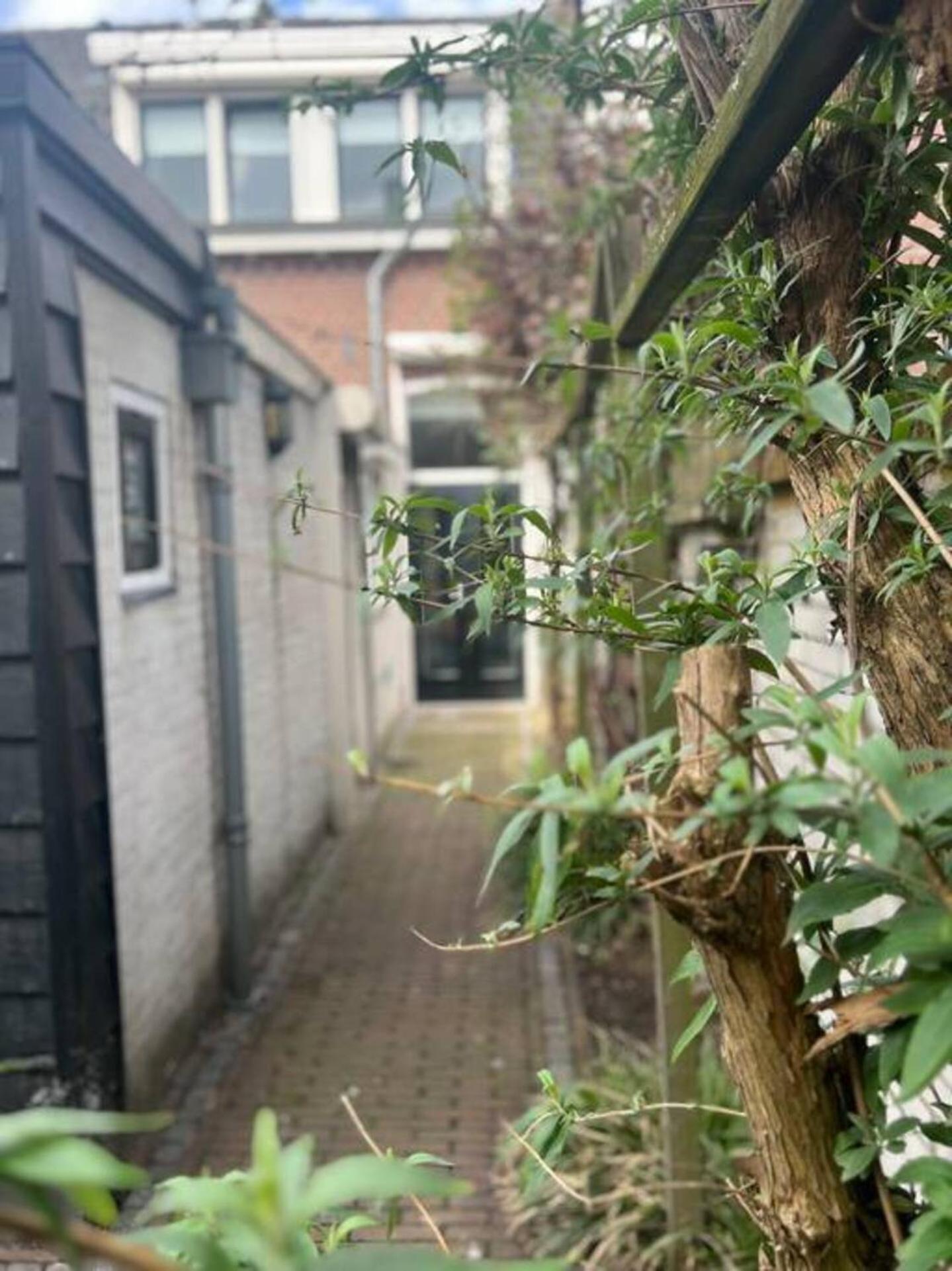 Appartement Boutique 2br With Garden At Fontys *